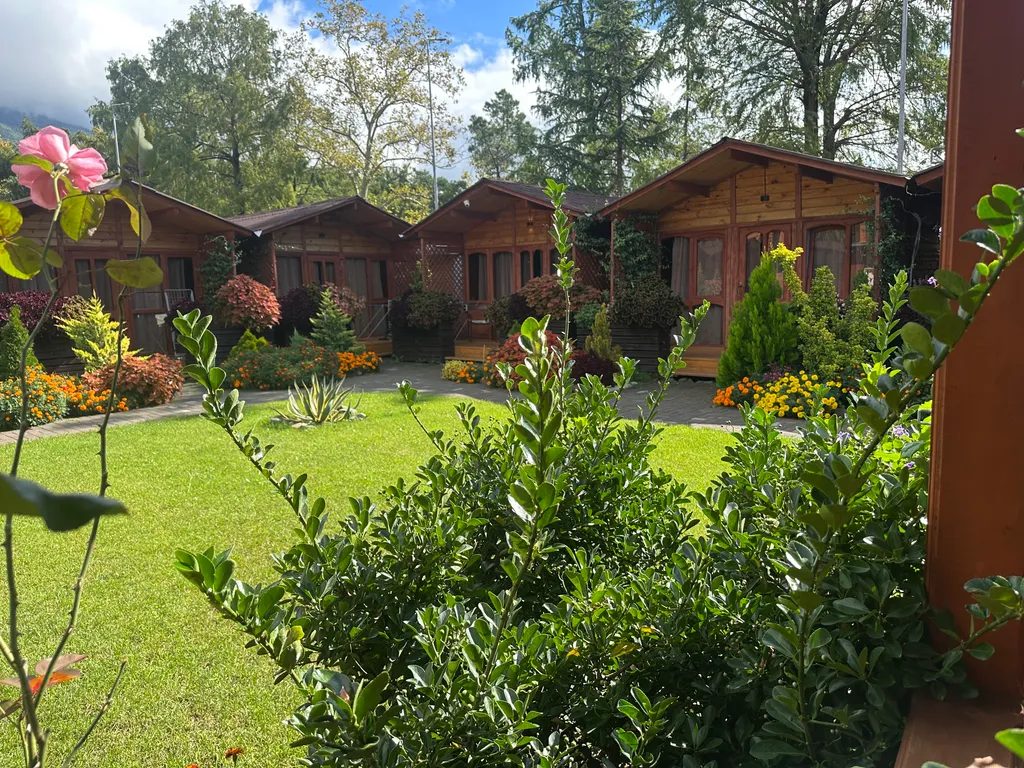 Коттедж 1-комнатный Дом — Гагра