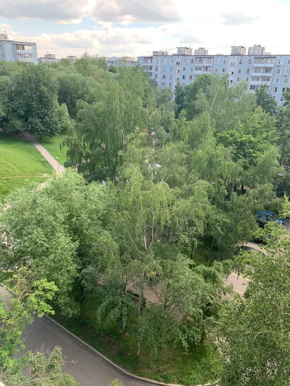 Квартира Квартира Удобная однушка в Ясенево недалеко от аквапарка — Москва