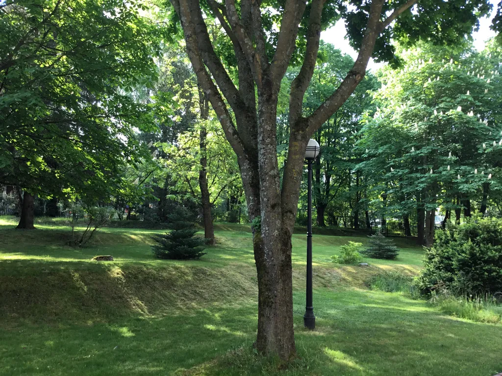 Апартаменты Горизонт у моря