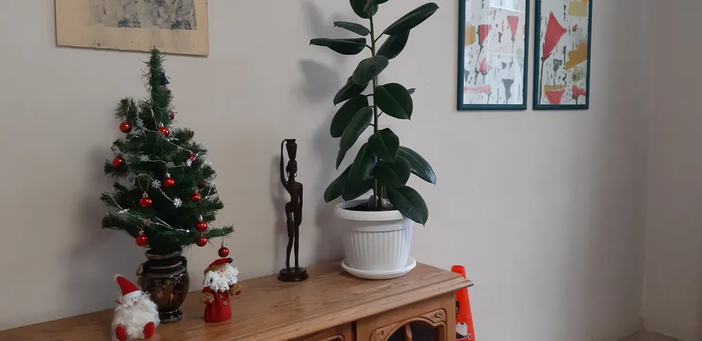 Место медитации