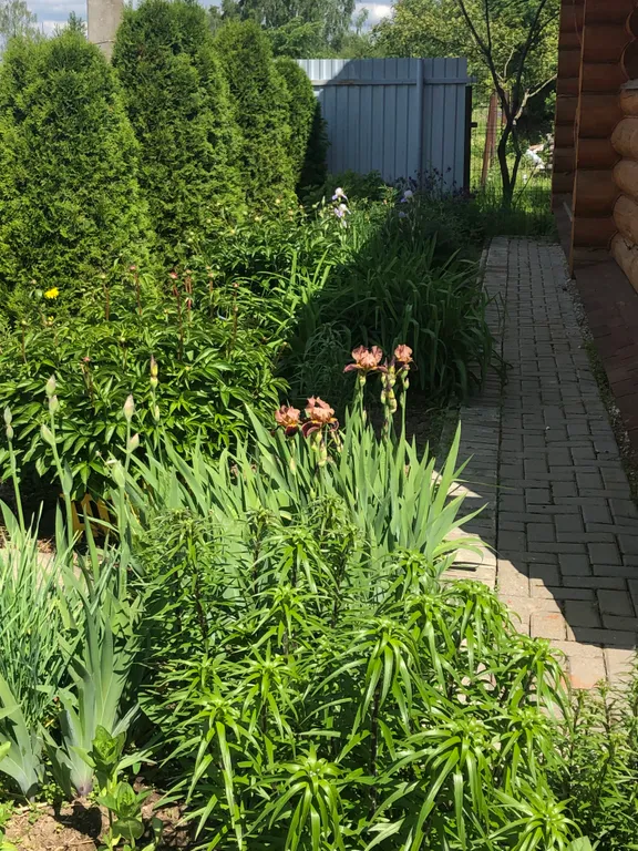 Домик в деревне