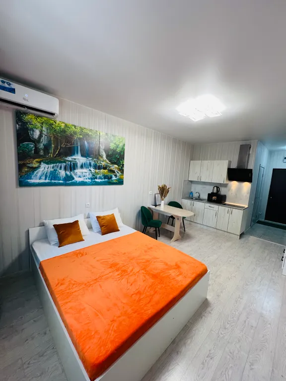 Квартира Та самая студия — аренда посуточно в Ростов-на-Дону