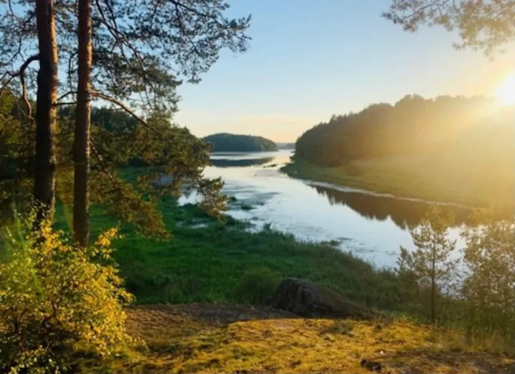 Частный Березовый дом