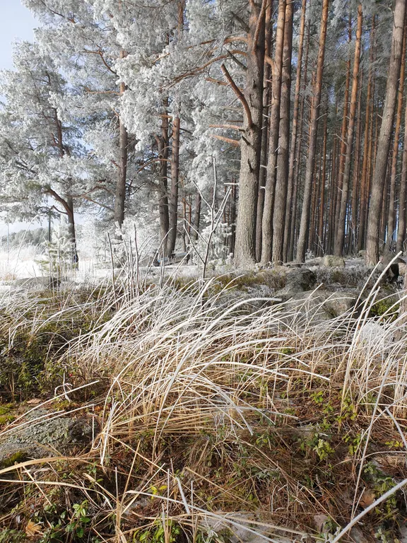 Семейный номер комфорт 3 ком. вид на озеро и парк