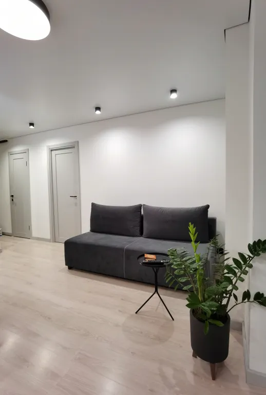 Евродвушка в центре