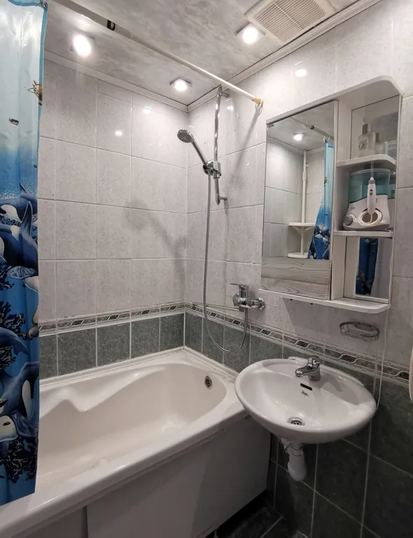 Трехкомнатная квартира в центре с видом на горы