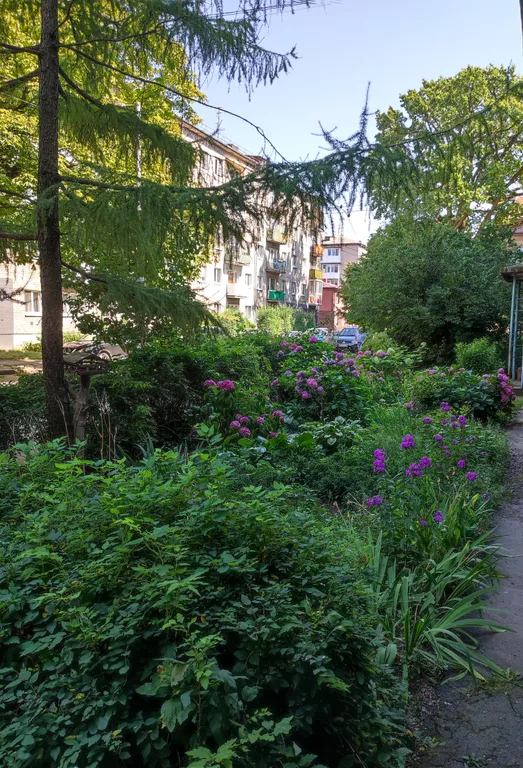 Квартира Квартира Уютный уголок в удобном месте N°2 — Калининград