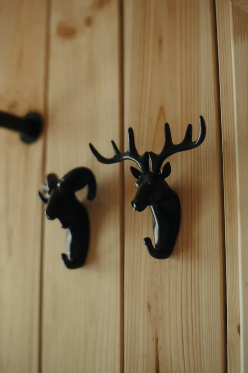 Шале в Беловежской Пуще Forest Soul Aframe