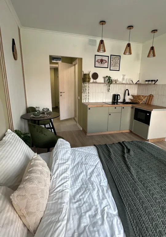 Уютная студия GreenFrida