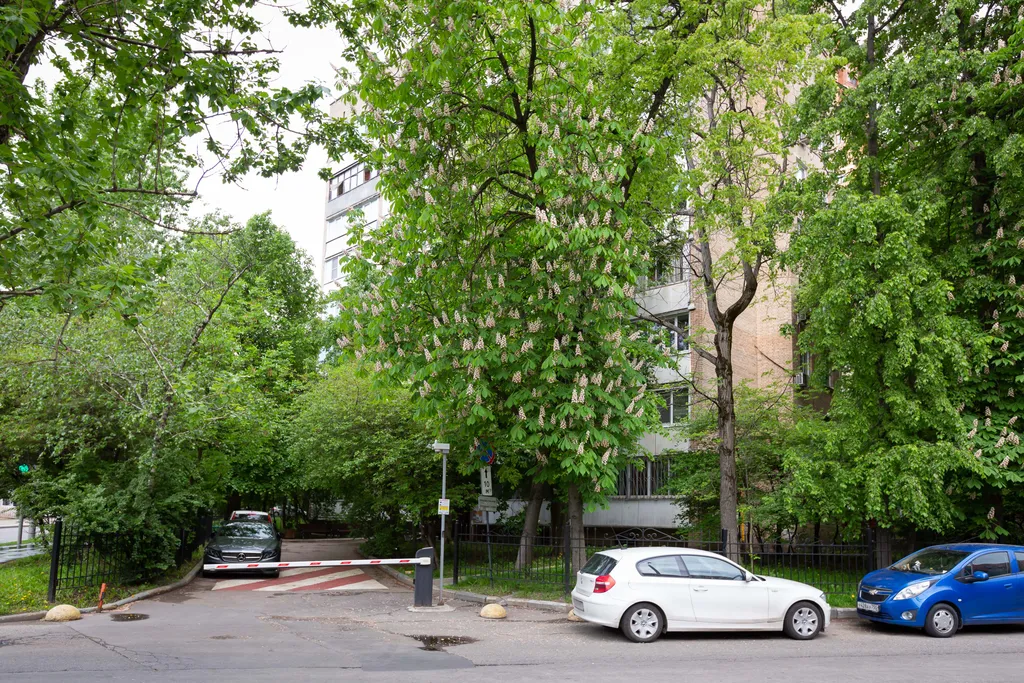 Квартира 1-комнатная Квартира — Москва