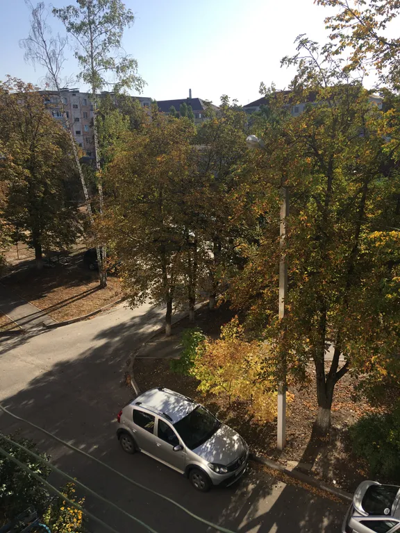 Уютная двушка в центре города