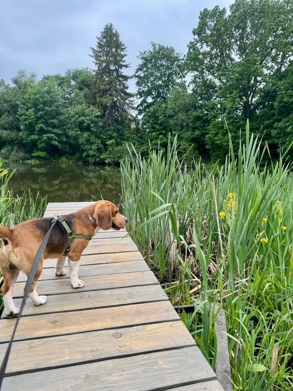 Дом с видом на реку недалеко от Moscow Raceway