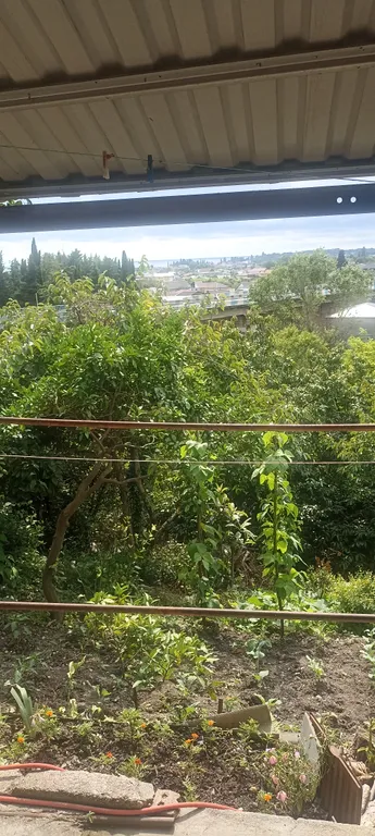 Гостевой дом с видом на море