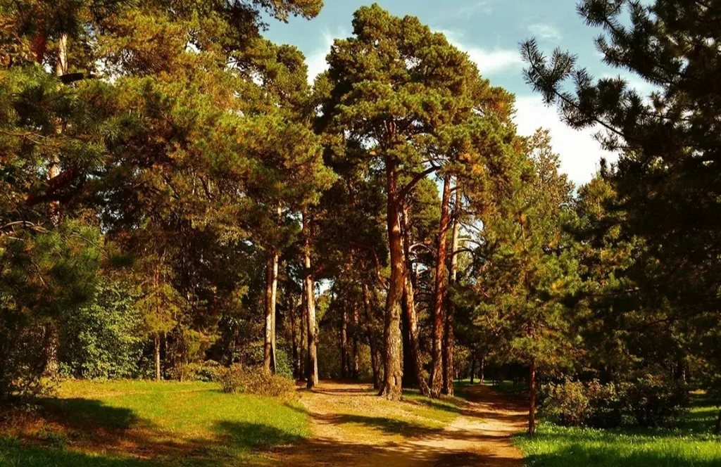 Квартира Квартира Просторная комфортная уютная студия с прекрасным видом на берег Волги — Тверь