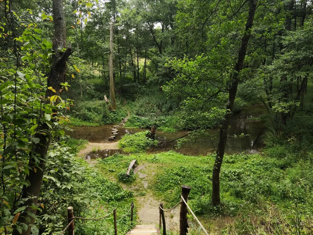 Барнхаус с панорамными окнами Хаус Гринвуд