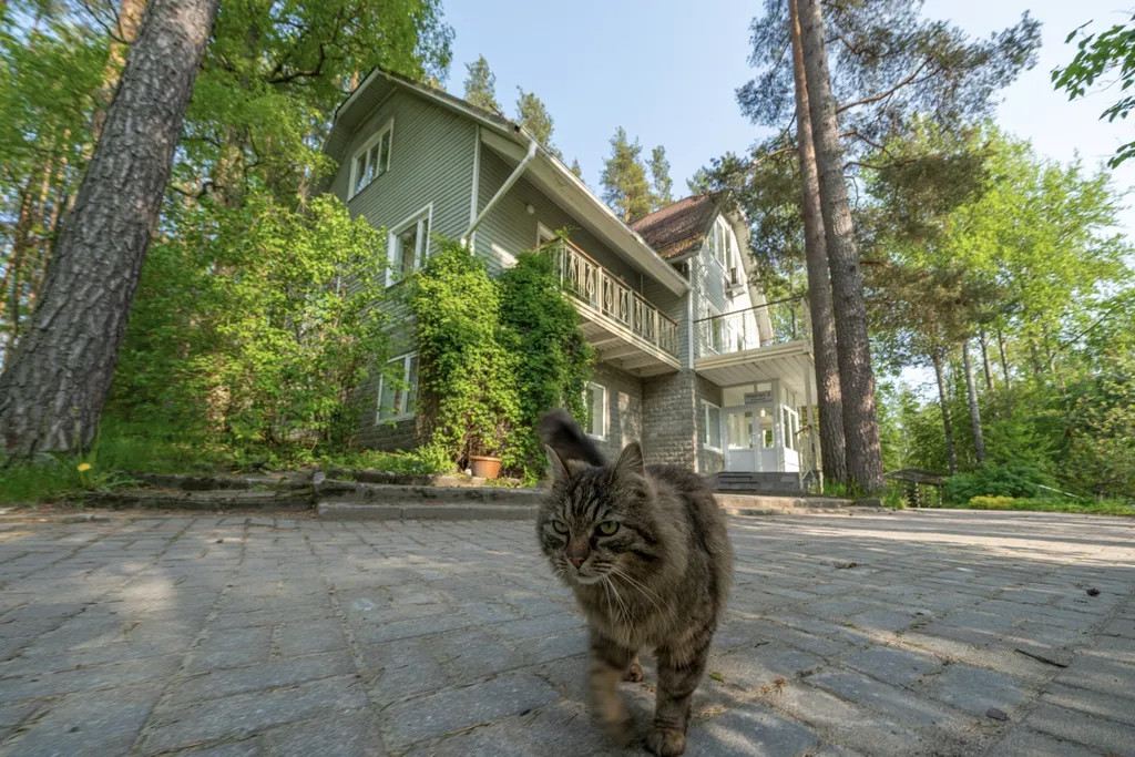 Просторные апартаменты