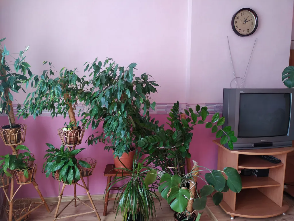 Немецкий дом с арками около Королевских ворот