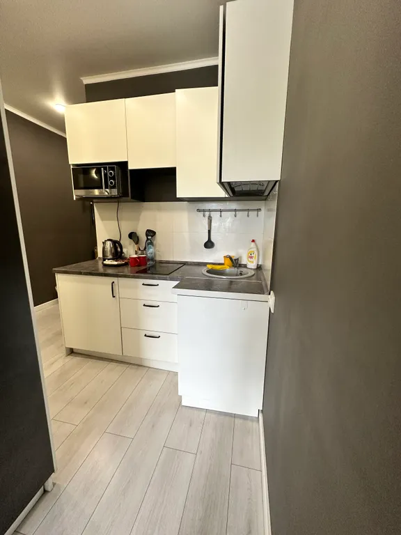 Квартира Modern Studio with IKEA Décor — Алматы