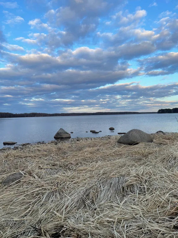 Дом с баней на берегу реки Волга с большой территорией