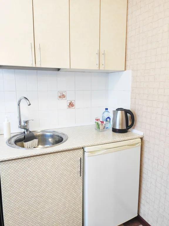 Квартира 1-комнатная в историческом центре рядом с отелем Марриотт — Воронеж