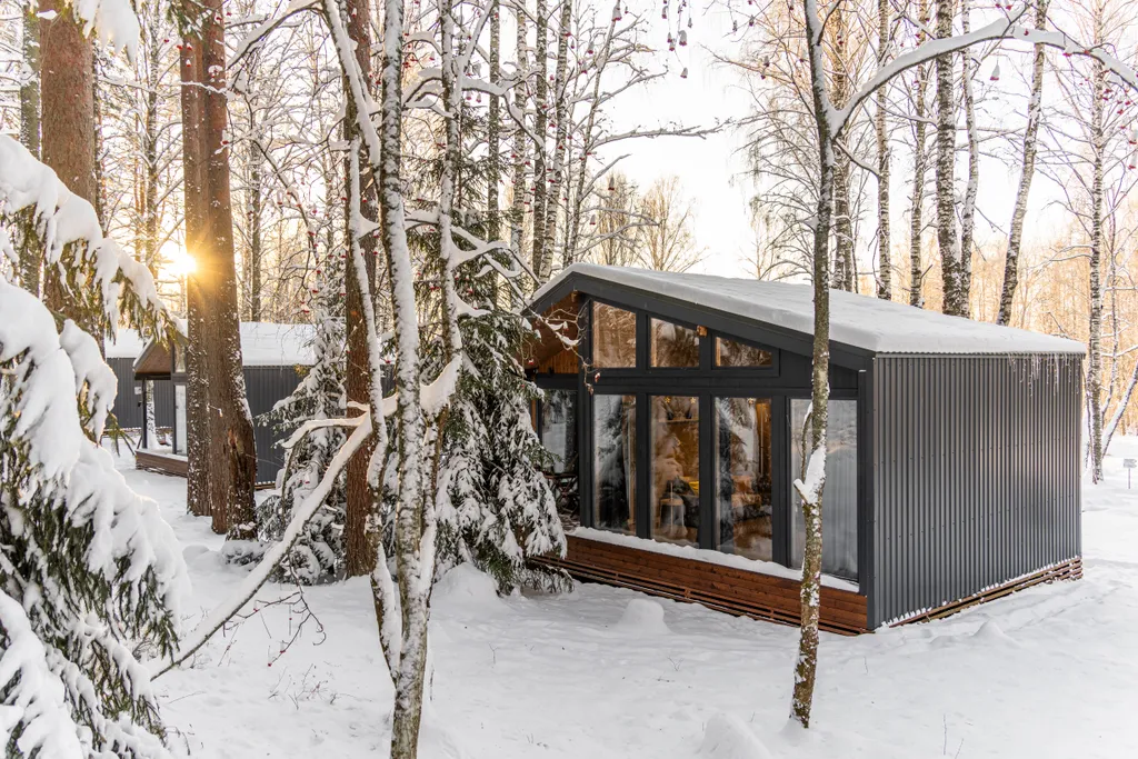 Дом с видом на лес