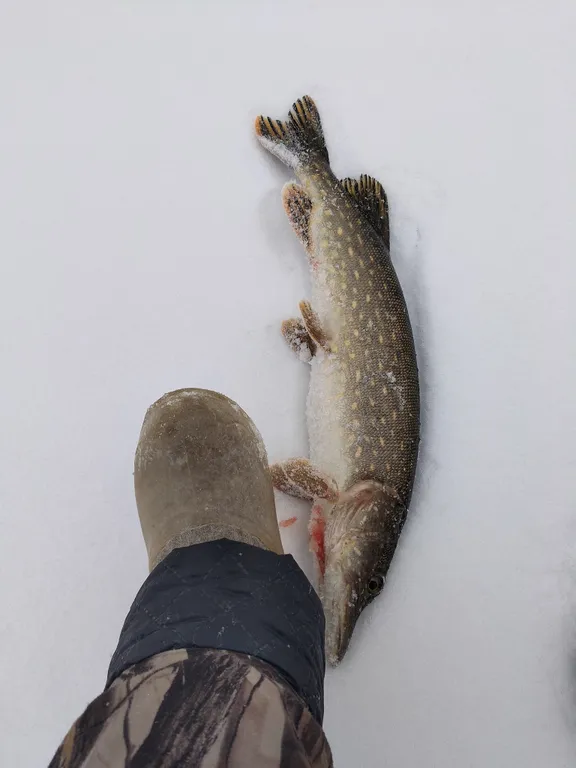 Домик на озере в глуши