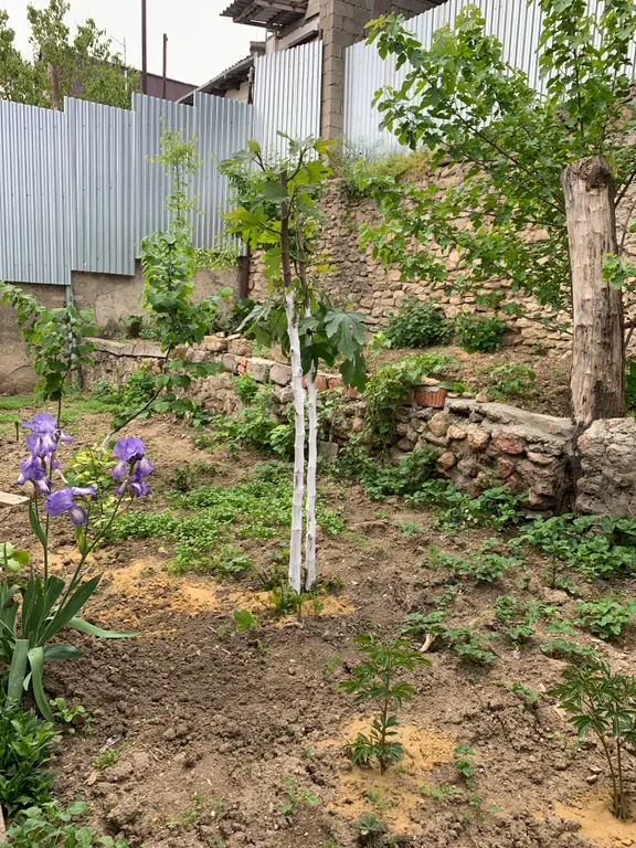 Комната в частном доме с верандой, вход отдельный, свой выход в сад.