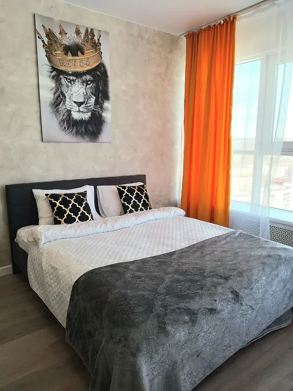 Студия Брутальный лев с панорамным видом на набережную реки