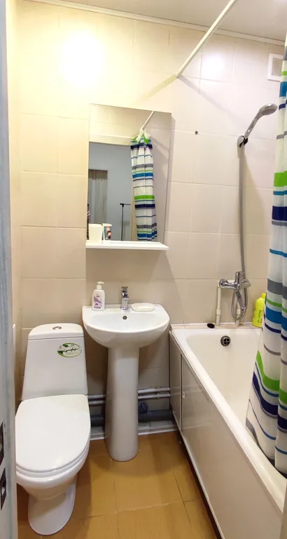 Студия Спутник