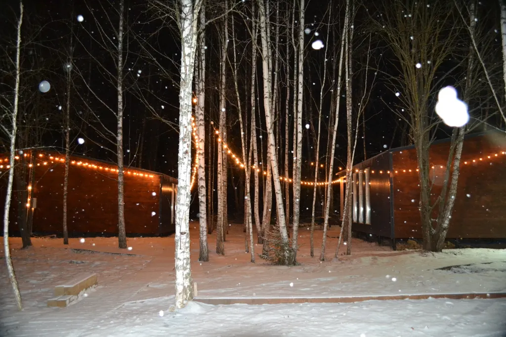 Дом O'Pushka space в березовом лесу