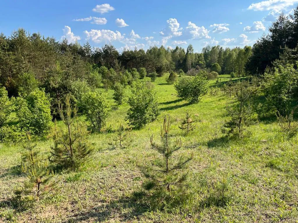 Уникальный арендный объект Кибитка на холме