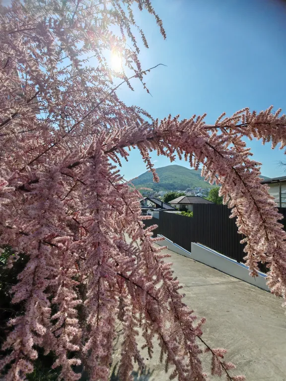 Море без мазута пешком одна минута