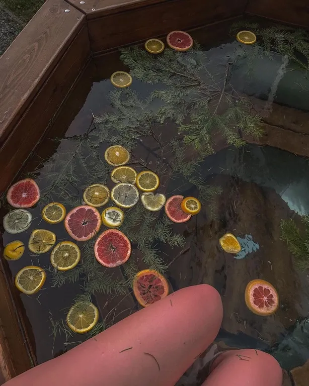 Дом с баней и чаном на дровах