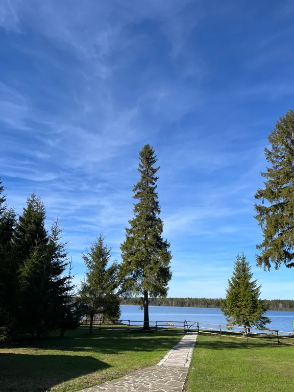 Загородный дом Царская усадьба