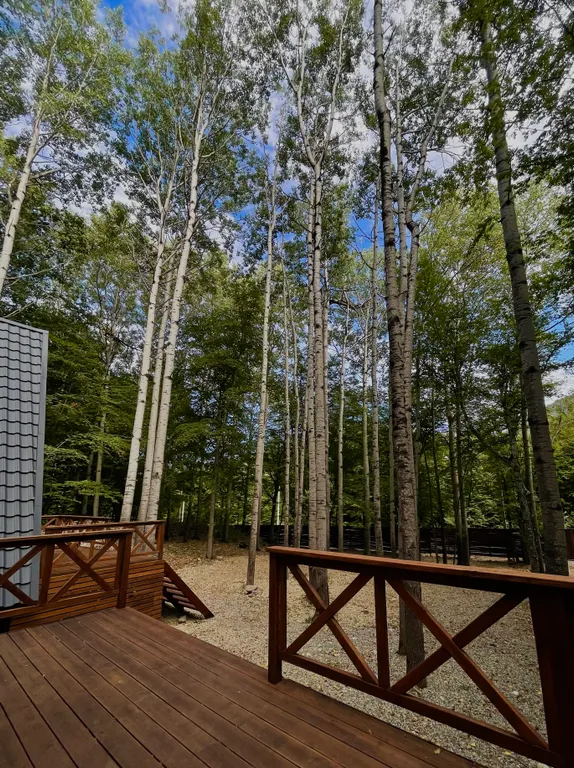 Коттедж а-фрейм атмосфера