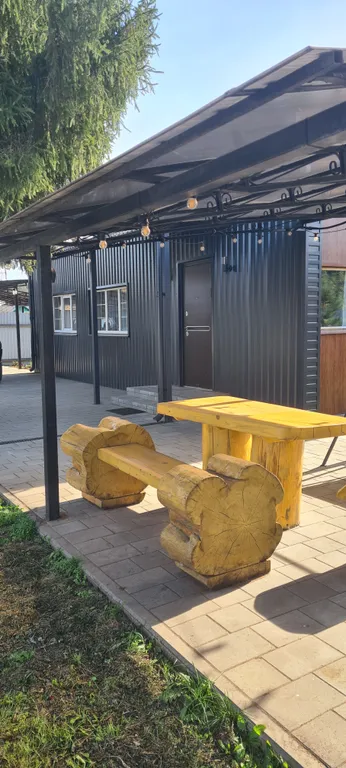 Дом Ёлки в Бузулукском Бору