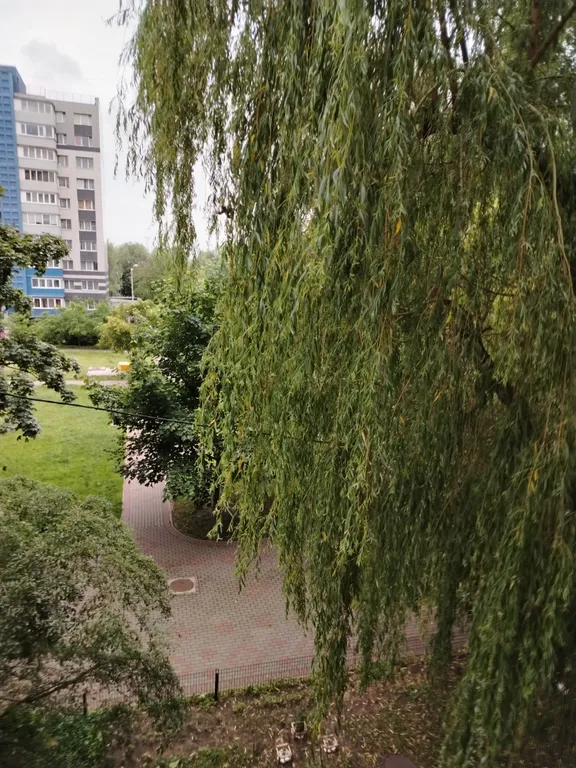 Квартира Квартира в центре возле Музея Мирового океана — Калининград
