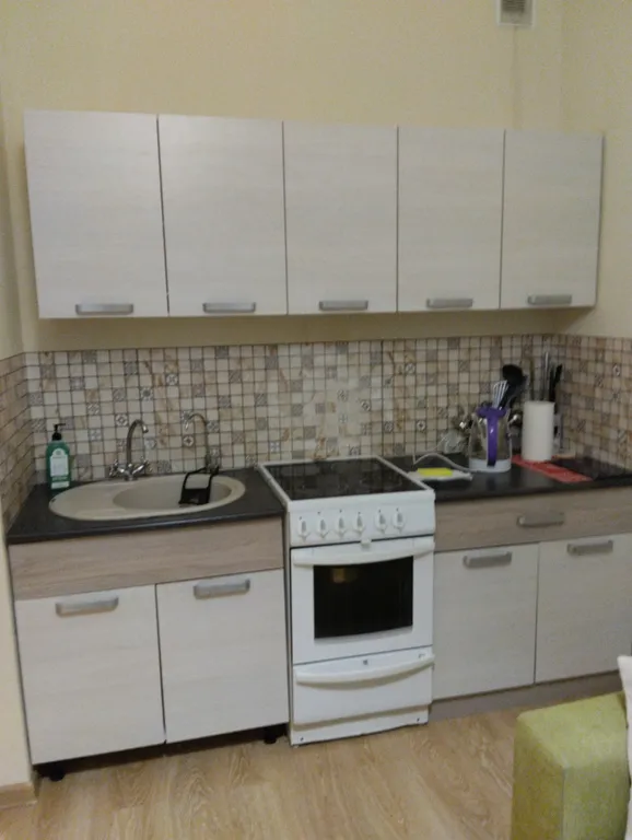 Квартира Уютная однокомнатная квартира рядом с НИИ Петрова — Песочный