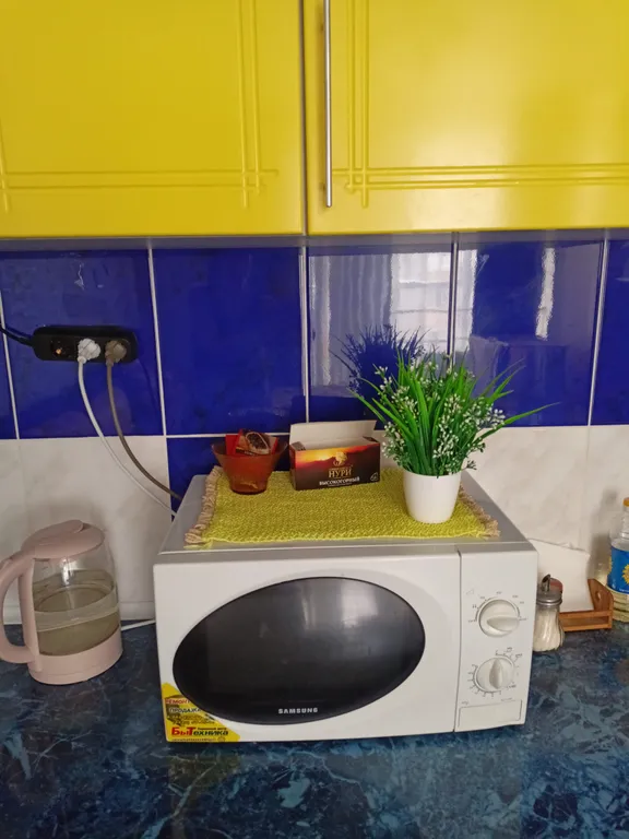 Студия в Новом свете