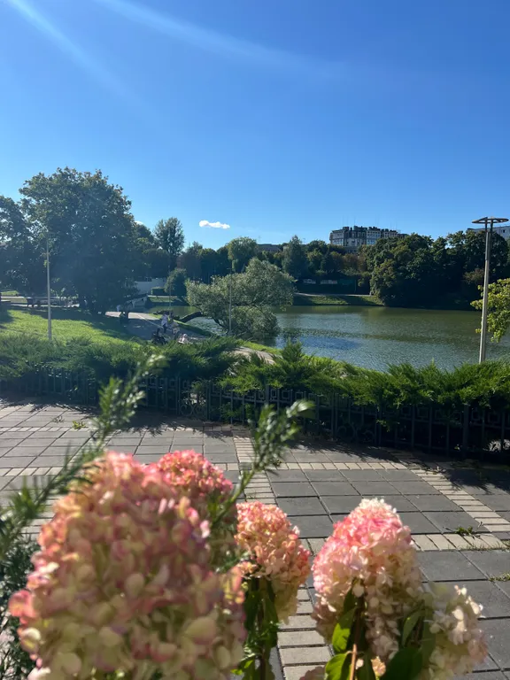 Уютные апартаменты в центре города Росгартен