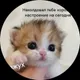 Ксения