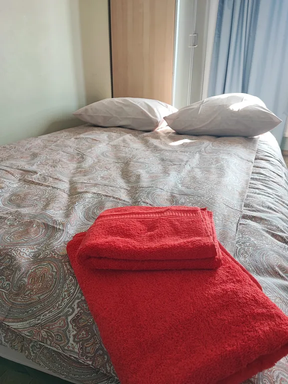 Замечательная квартира у Невы