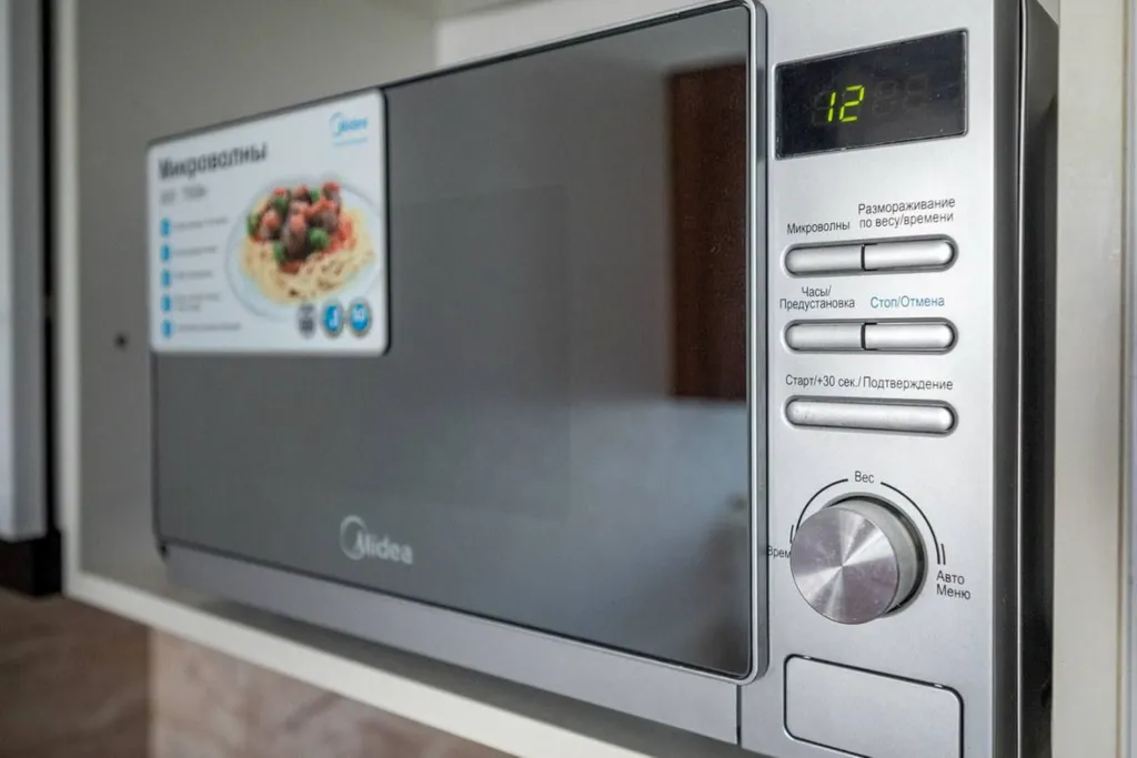 Студия с видом на Дендрарий