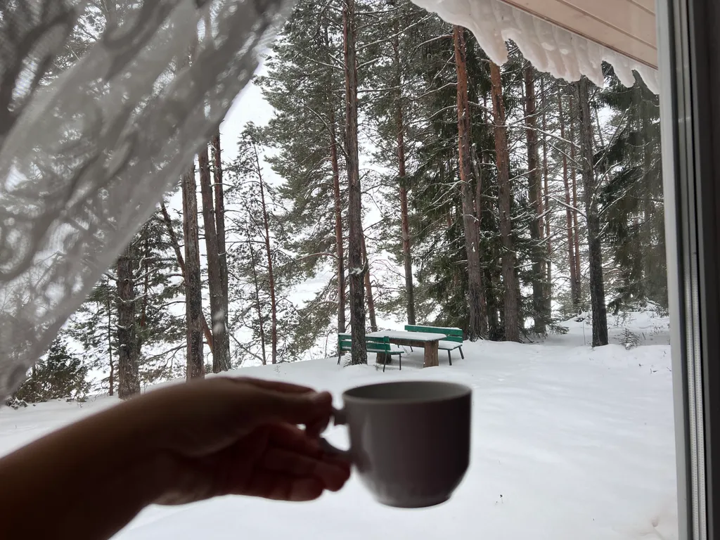 Коттедж с баней и беседкой у Вотчины Деда Мороза