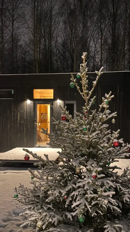 Коттедж Домики с панорамными окнами и видом на лес — Глинка