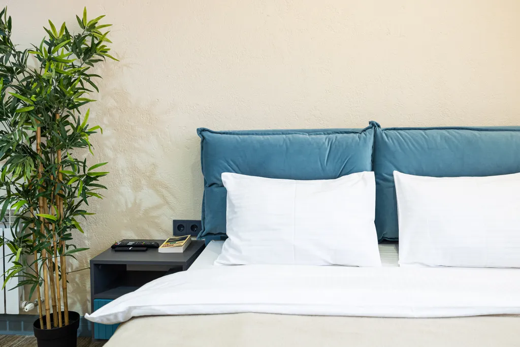 Квартира Просторная студия в центре Красной Поляны — аренда посуточно в Красная Поляна