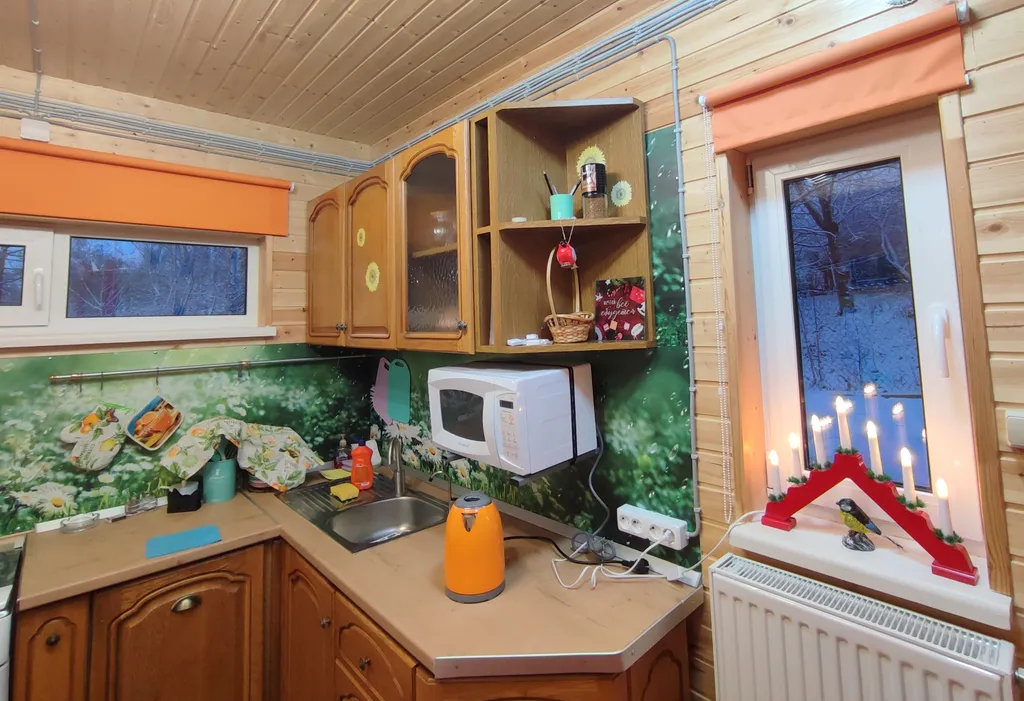 Птица синица House с огромным балконом у озера