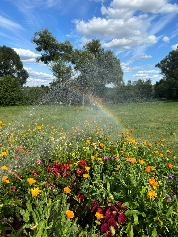 Тихое и комфортное место на берегу реки Лесная