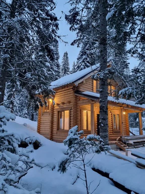 Дом на Алтае