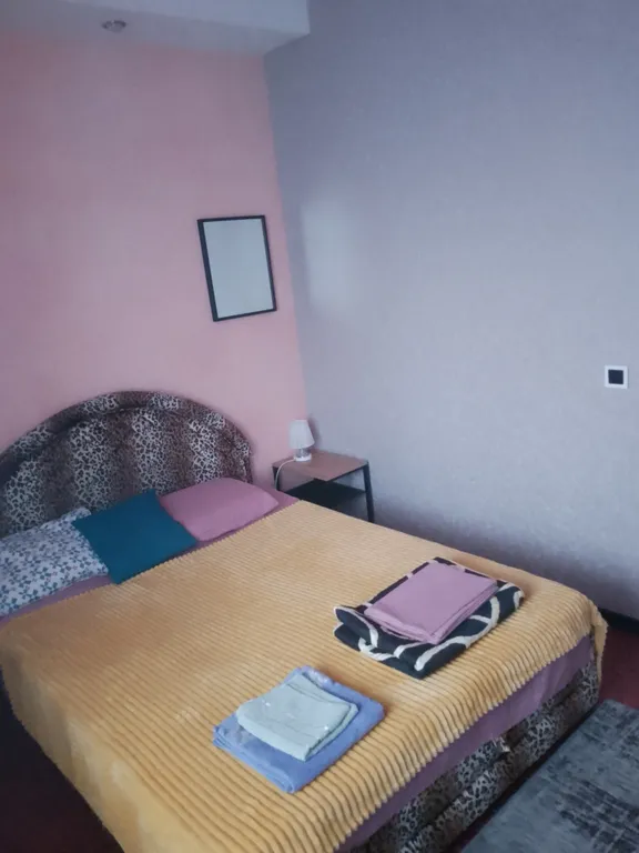 Номер рядом с Аэропортом Толмачёво